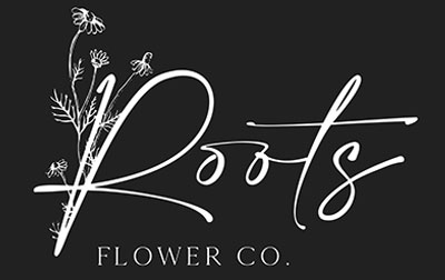 logo2